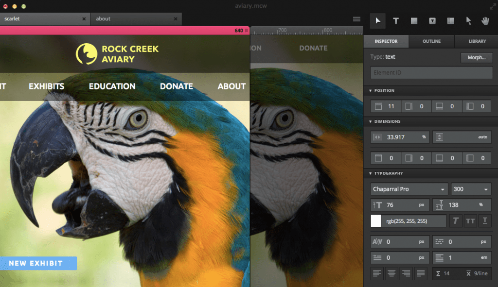 Macaw design interface